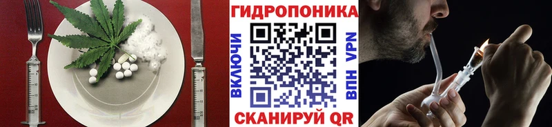 Cannafood конопля  где найти   OMG   Правдинск 